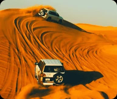 Desert Safari