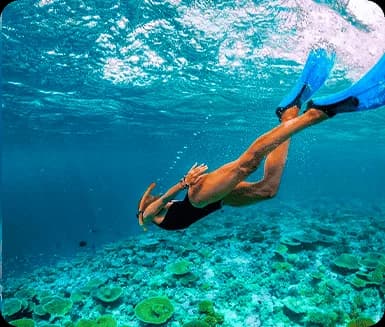 Snorkeling