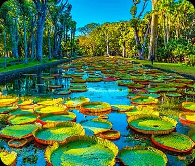 Botanical Garden